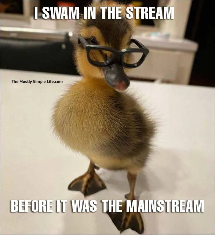 duck meme about hipsters