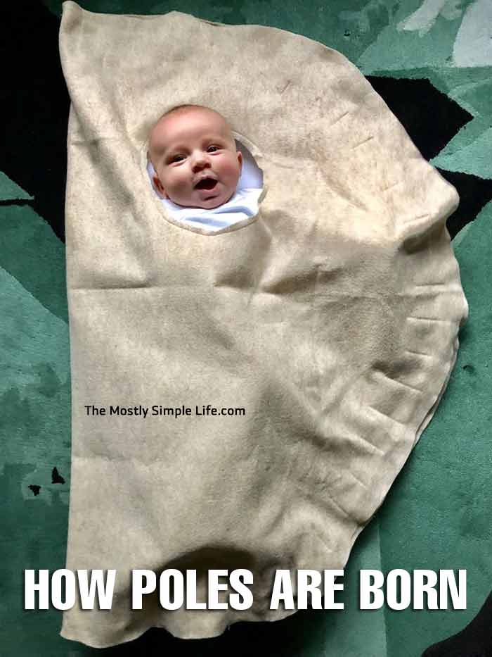 polish meme about baby born as pierogi
