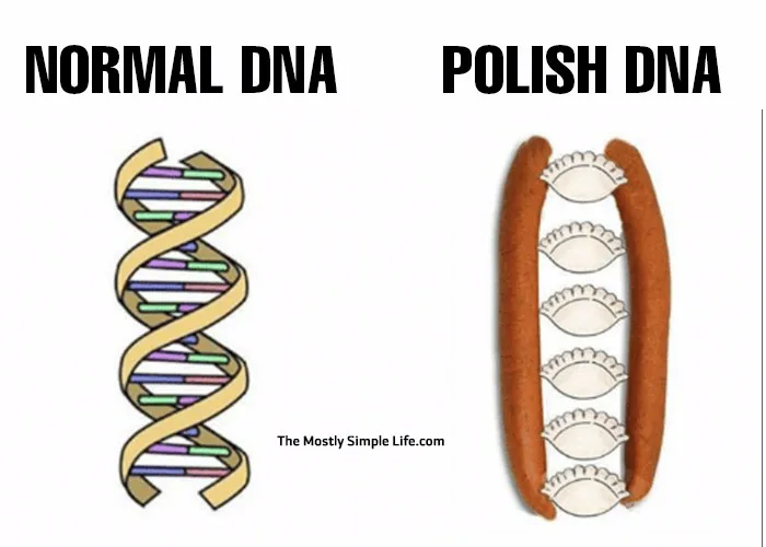 polish meme with kielbasa and pierogi dna