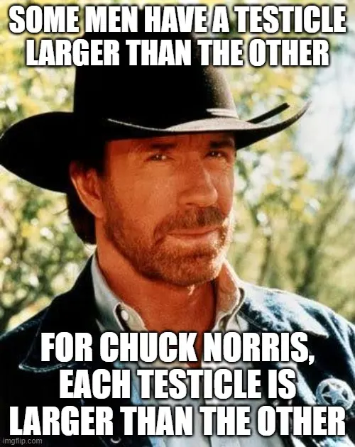 chuck norris private part joke