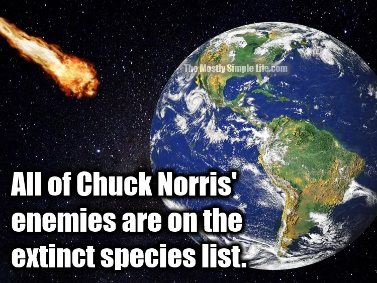 extinct species Chuck Norris joke