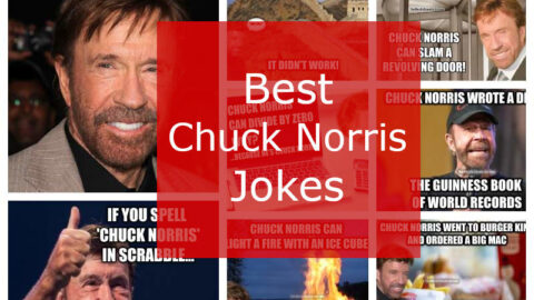 collage of chuck norris jokes