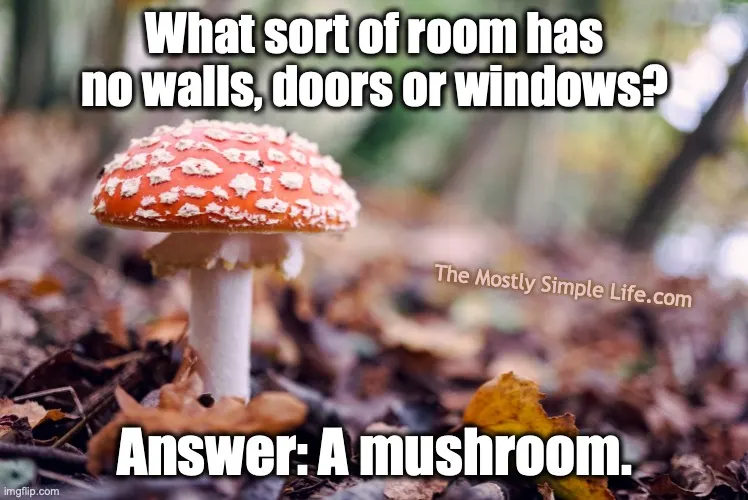 mushroom pun riddle