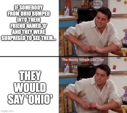 The 50 Funniest Ohio Jokes Memes You Will Ever Find OHIOjoey 520x463