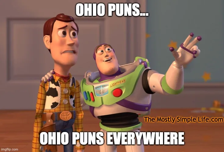 ohio puns joke