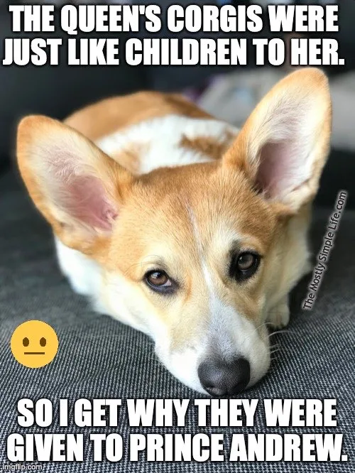 queen's corgis jokes