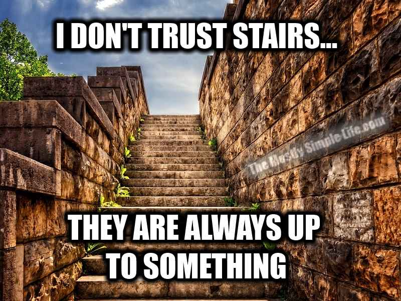 i don't trust stairs, they are always up to something