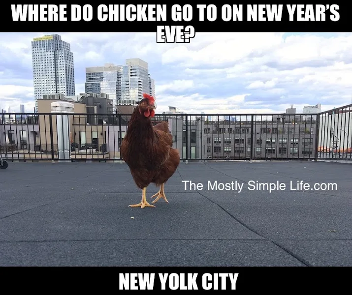New Yolk Joke