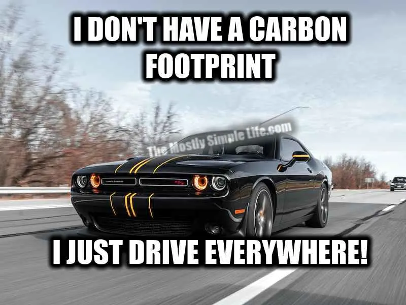 carbon footprint