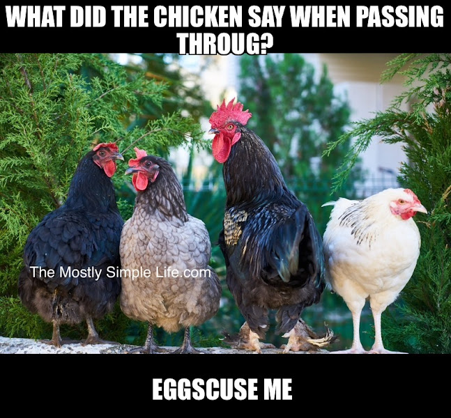 Polite Chicken Joke