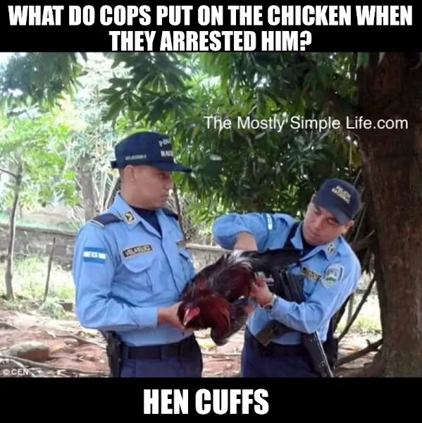 Arrested Chicken Joke