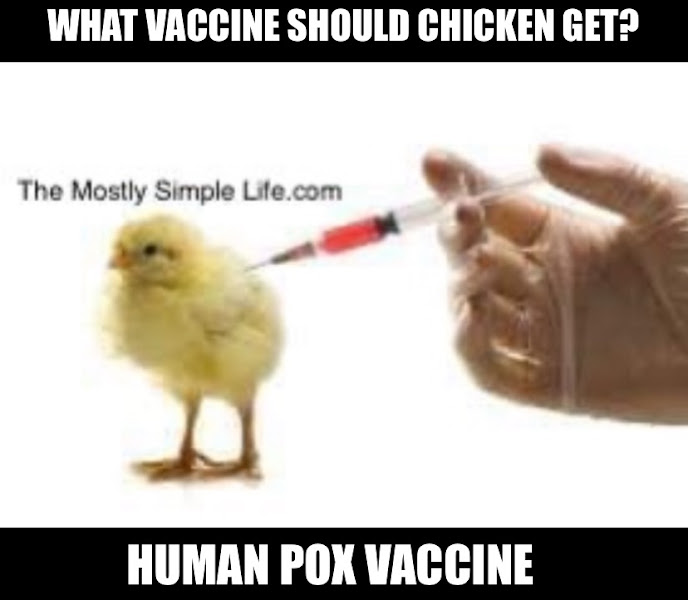Human Pox Joke