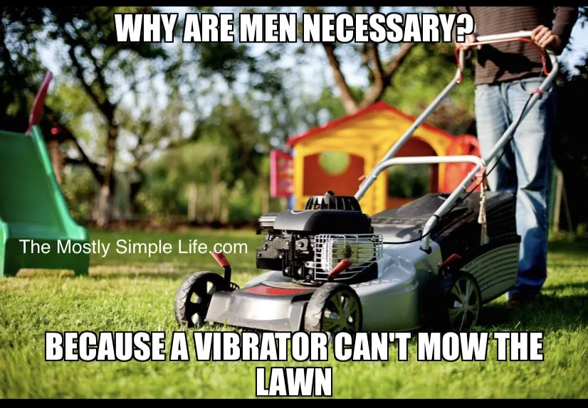 Vibrator vs Lawnmower Joke