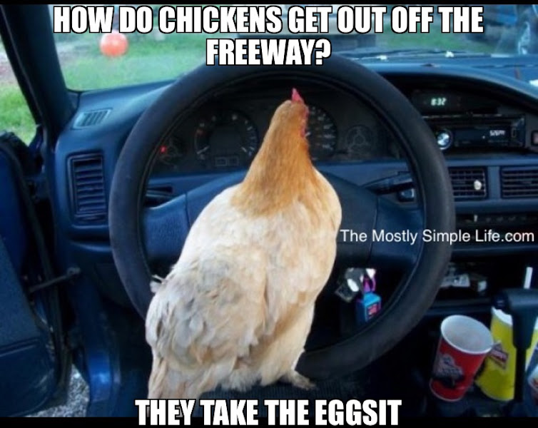 Driving Chicken Joke