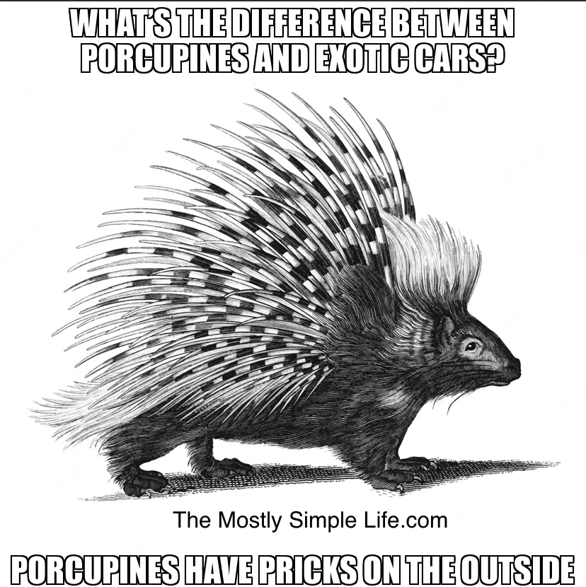 Pricks On The Outside Joke