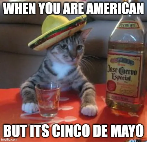 american on cinco de mayo meme