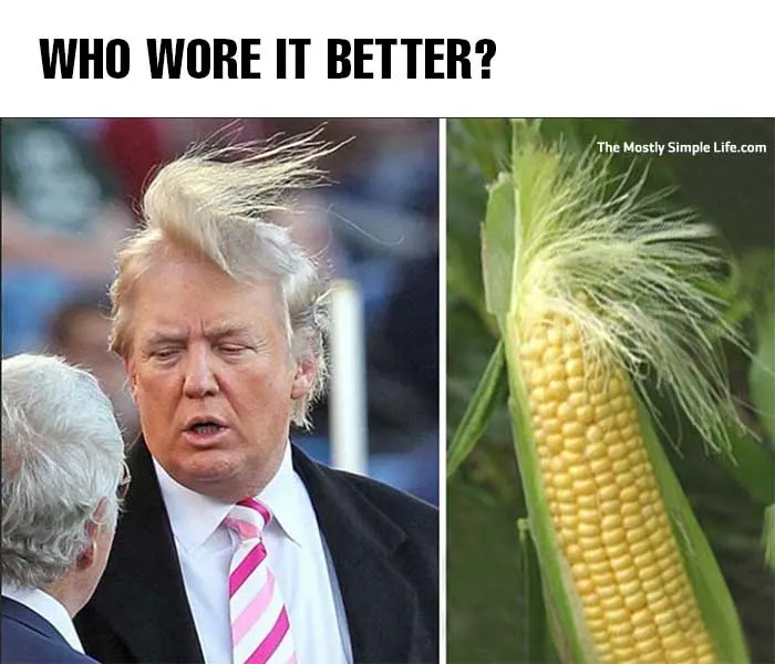 meme about donald trump hair compared to corn