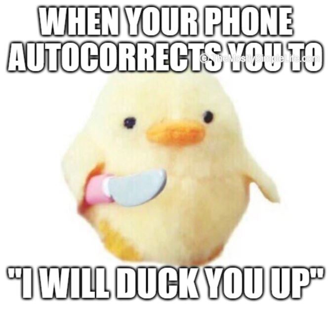autocorrect duck meme (2/2)