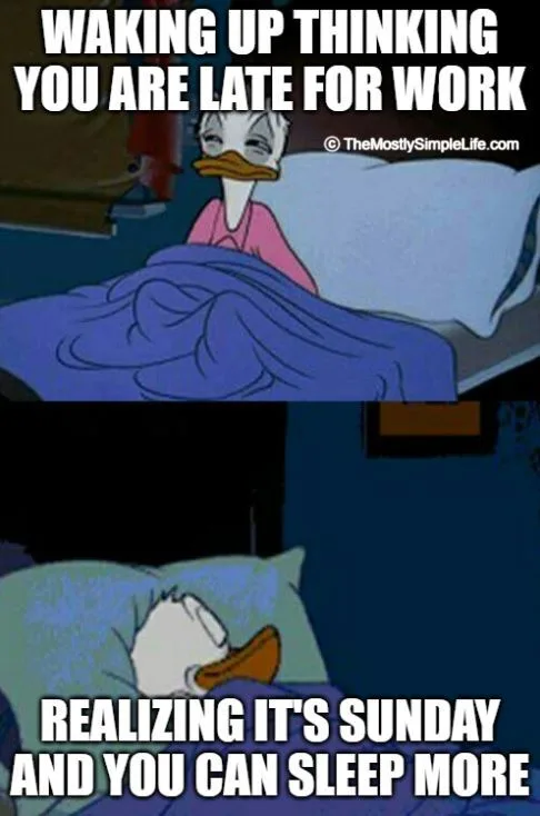 duck joke meme about waking up thinking you are late for work 