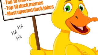 duck showing a list of jokes