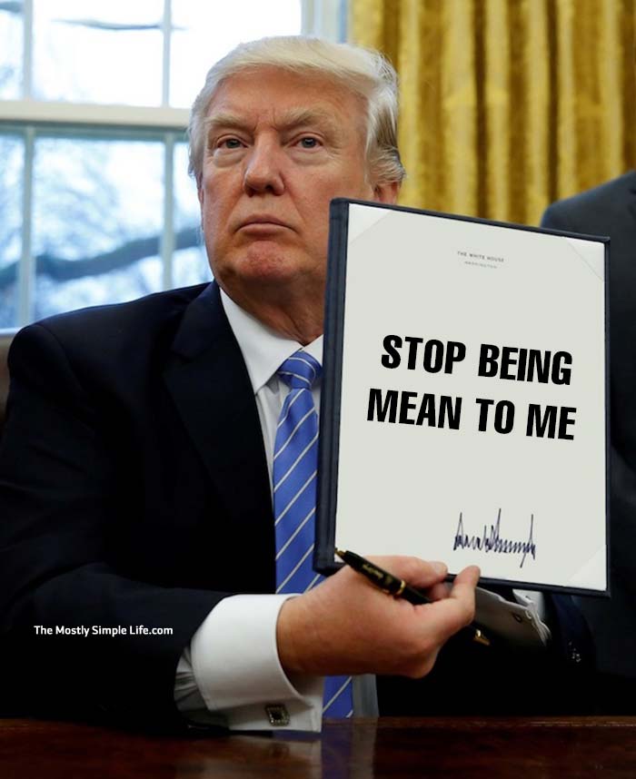 executive order donald trump meme "stop being mean to me"