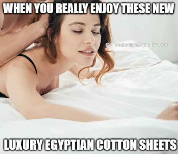 luxury egyptian cotton sheets meme