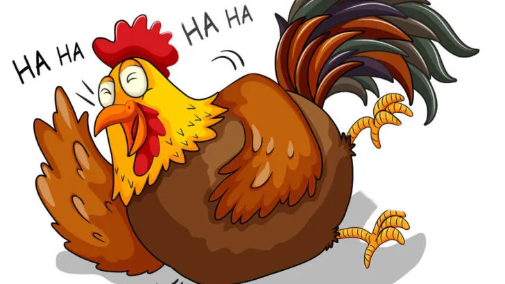 cartoon of laughing chicken