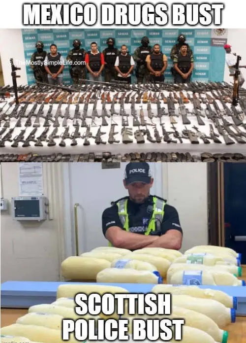 mexico drug bust meme