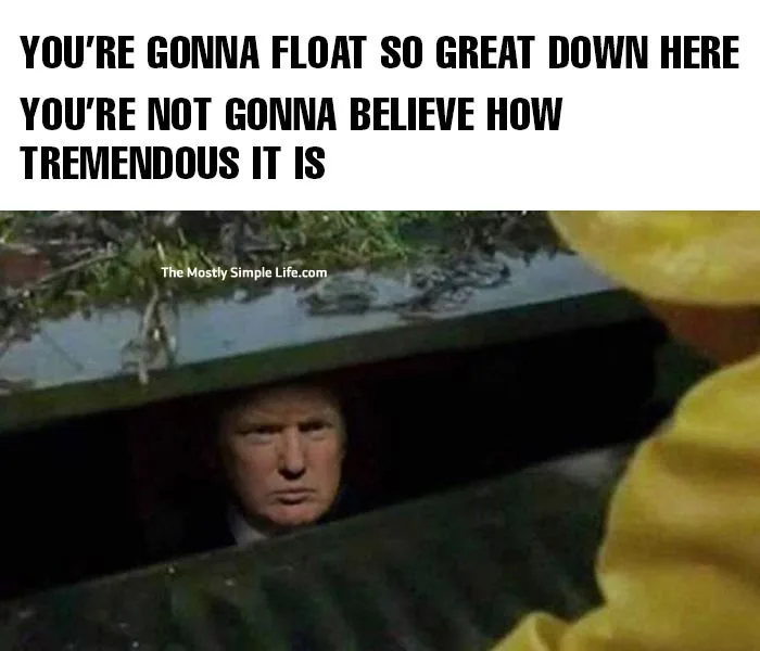 trump meme with IT reference, floating