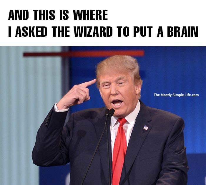 trump meme wizard of oz brain