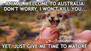 Top 50 Most Humorous Australia Jokes