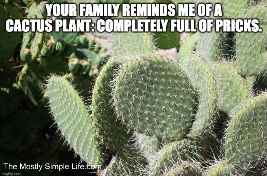 Family like cactus: full of pricks. Cactus image