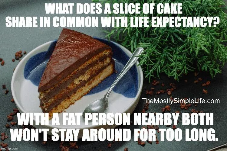 Cake slice.