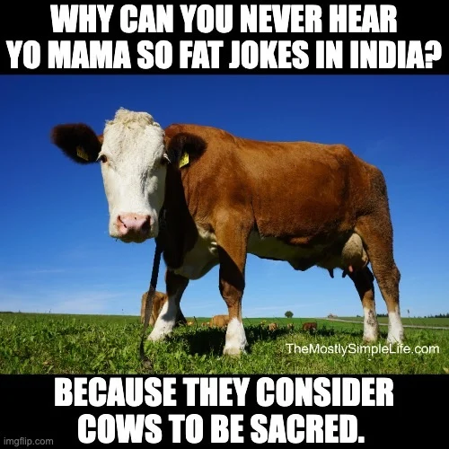 cow in india jokes