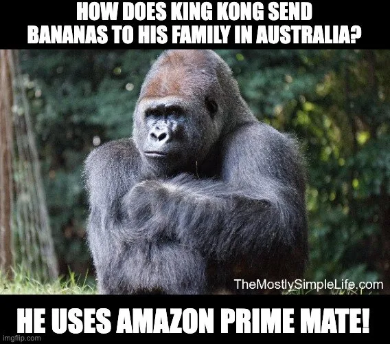 Gorilla image.