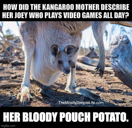 Kangaroo with baby (joey)