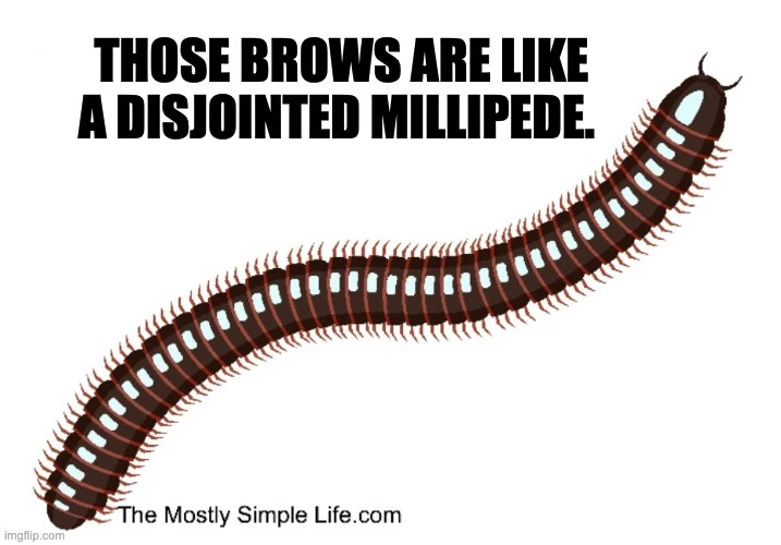 Millipede image.