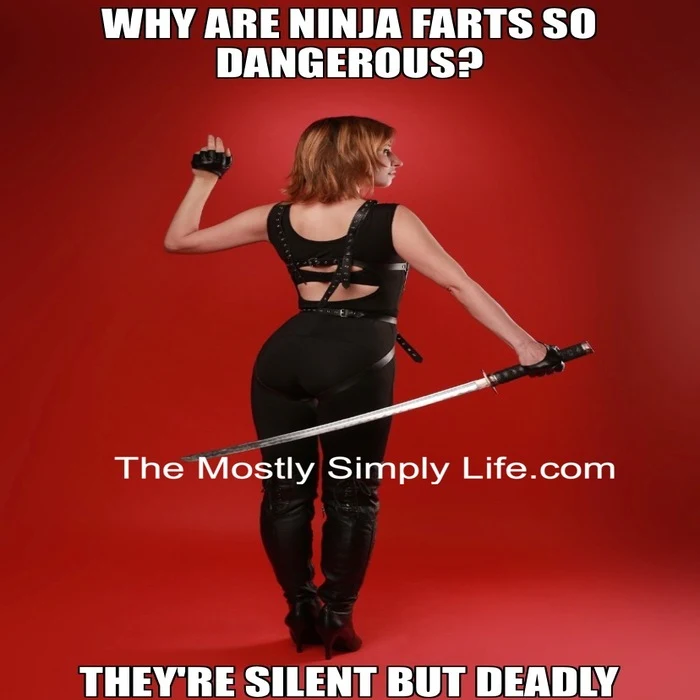 Ninja Silent but Deadly
