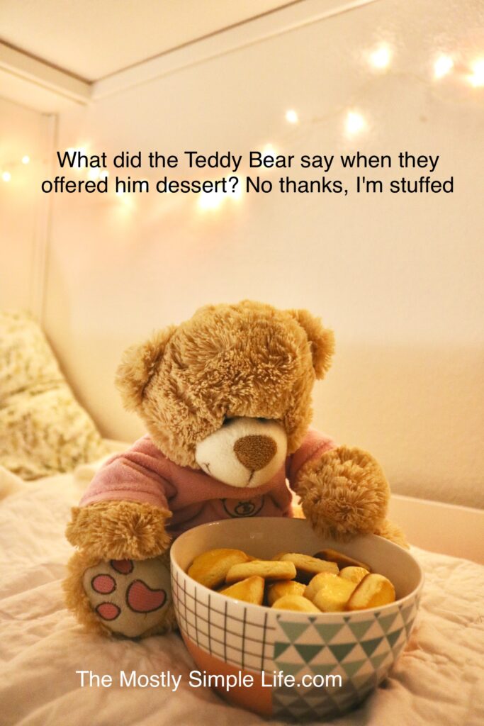 Teddy Bear