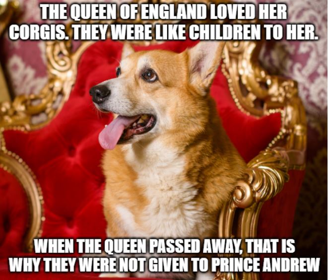 queen's corgis and prince andrew joke