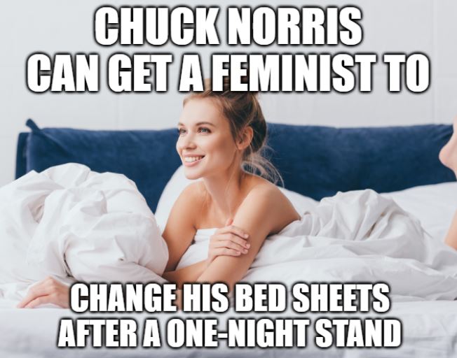 chuck norris meme about feminist folding sheet
