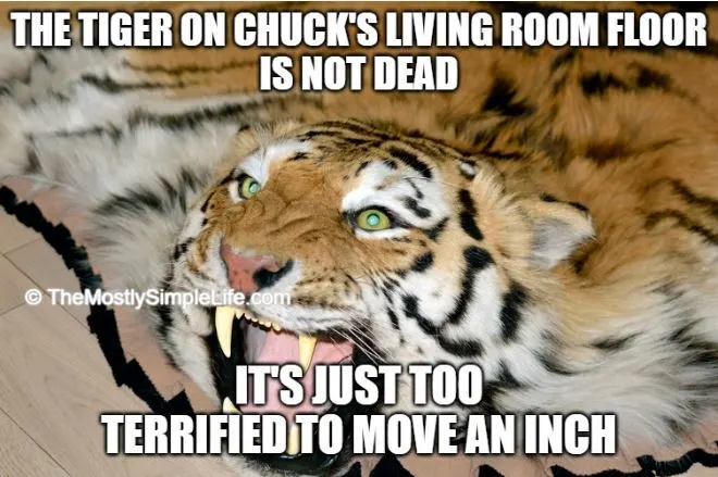 meme about tiger in chuck norris' living room