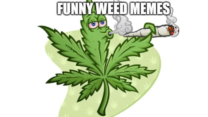 header showing a weed leaf with funny memes text