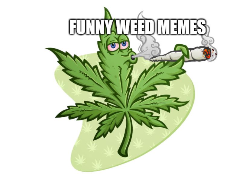 31 Funniest Weed Memes You Will Ever Find - The (mostly) Simple Life 31 Funniest Weed Memes You Will Ever Find - The (mostly) Simple Life