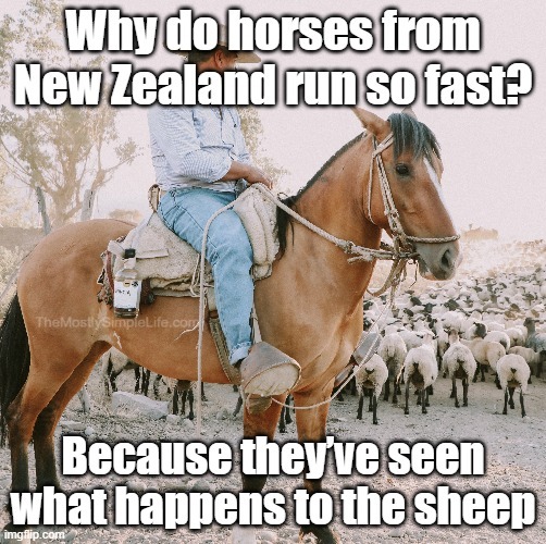 Why do horses from New Zealand run so fast?
Because they’ve seen what happens to the sheep.