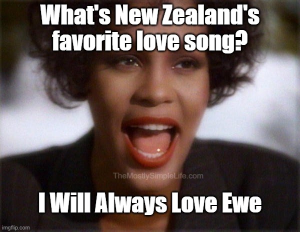 What's New Zealand's favorite love song?
I Will Always Love Ewe