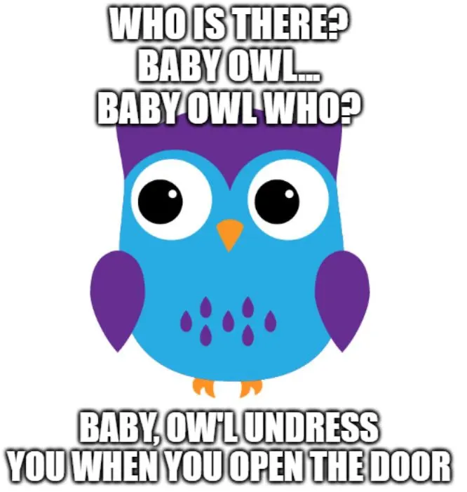 baby owl knock-knock joke for adults