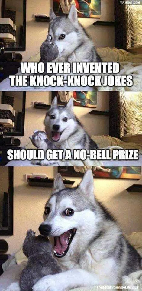 Text: Whoever invented the Knock Knock jokes should get a no-bell prize.

Image: A husky with a wide open mouth like he's about to laugh.
