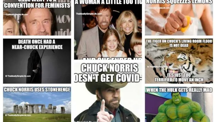 collage of chuck norris memes