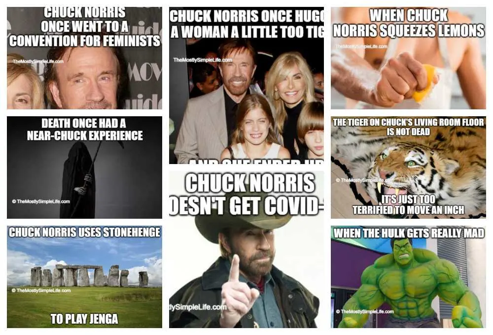 collage of chuck norris memes